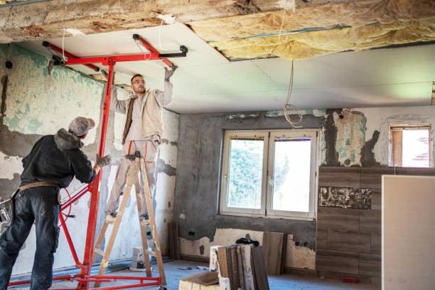 Best Eco-Friendly Insulation in Larkspur, CA