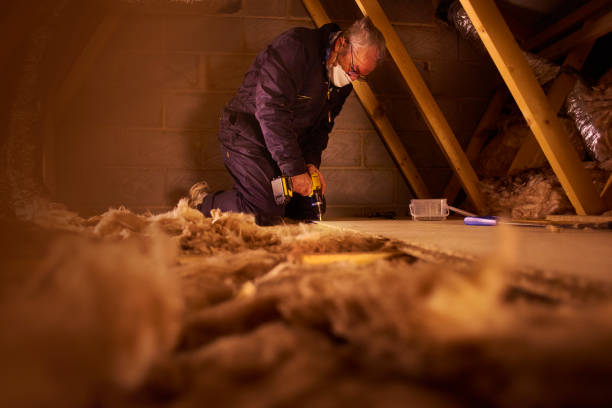 Professional Insulation Contractor in Larkspur, CA